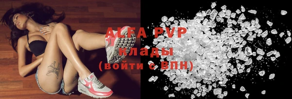 молекула духа Богданович