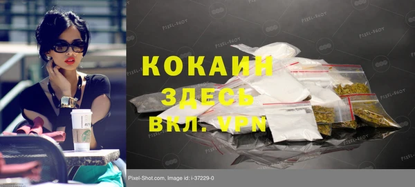 молекула духа Богданович