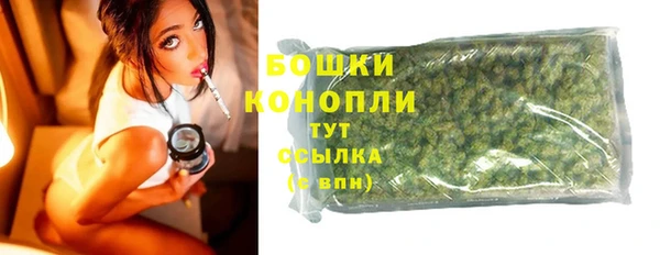 молекула духа Богданович