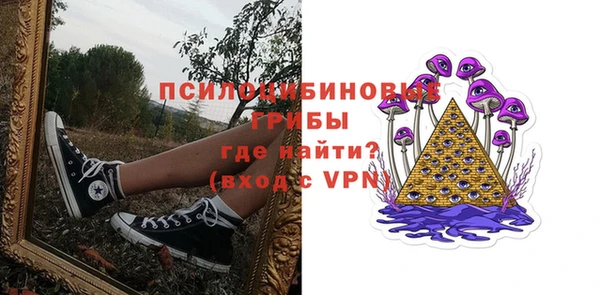 сатива Богородск