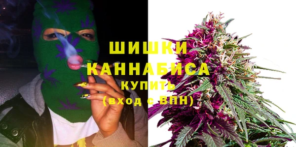 ECSTASY Богородицк