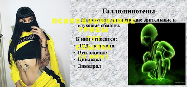 сатива Богородск