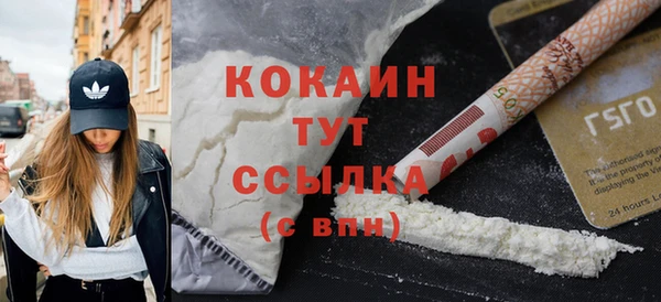 ECSTASY Богородицк