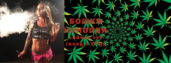 ECSTASY Богородицк