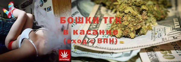 ECSTASY Богородицк