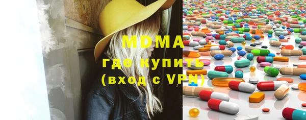 молекула духа Богданович