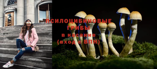 ECSTASY Богородицк