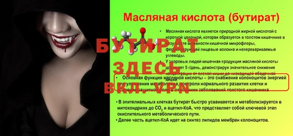 молекула духа Богданович