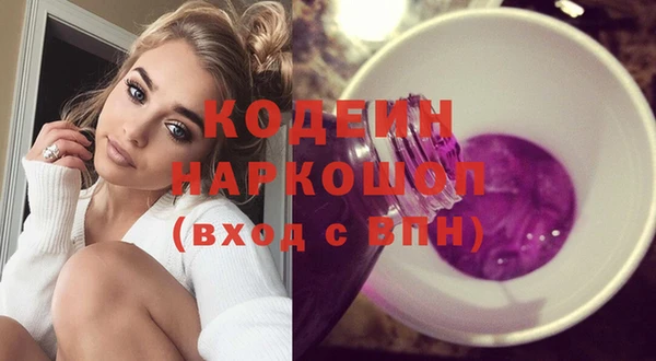 молекула духа Богданович