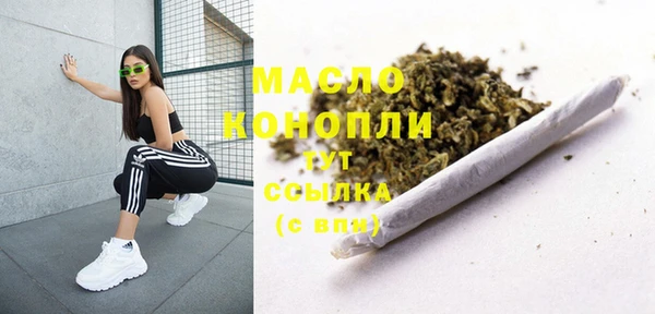 молекула духа Богданович