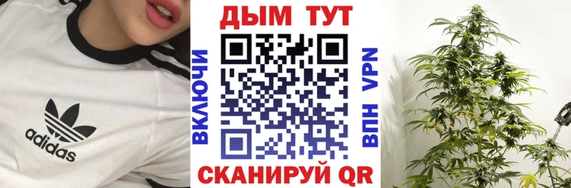 Канабис OG Kush Духовщина
